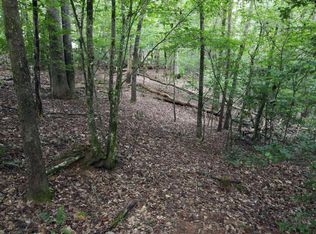 Lots 1&2 Hemptown Cliffs Rd, Morganton, GA 30560