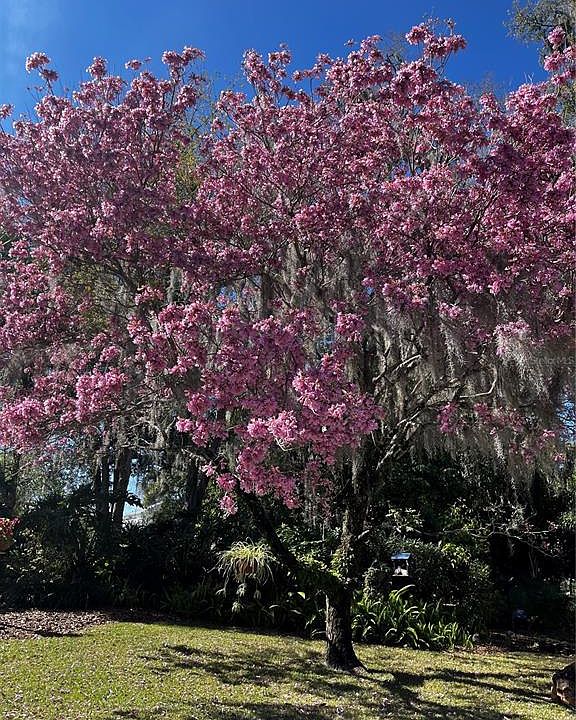1st image of 1819 GIPSON GREEN LANE LOT 11