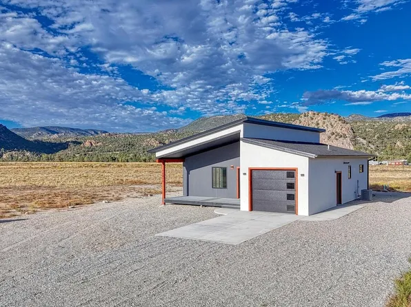 11217 County Road 198, Nathrop, CO 81236