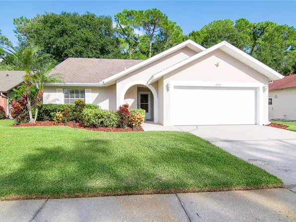 11903 SNAPDRAGON ROAD, TAMPA, FL 33635