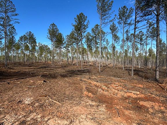 4th image of 3-002A Butler Bridge Rd