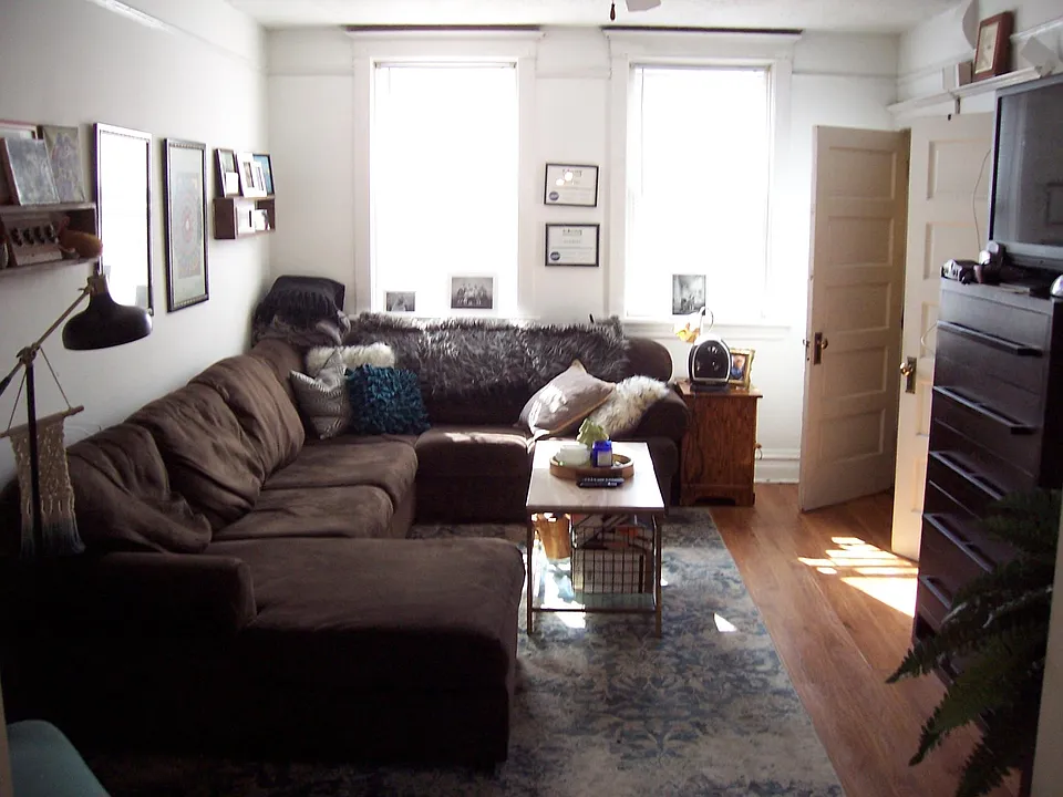 Living room/entry foyer/walk-in closet.