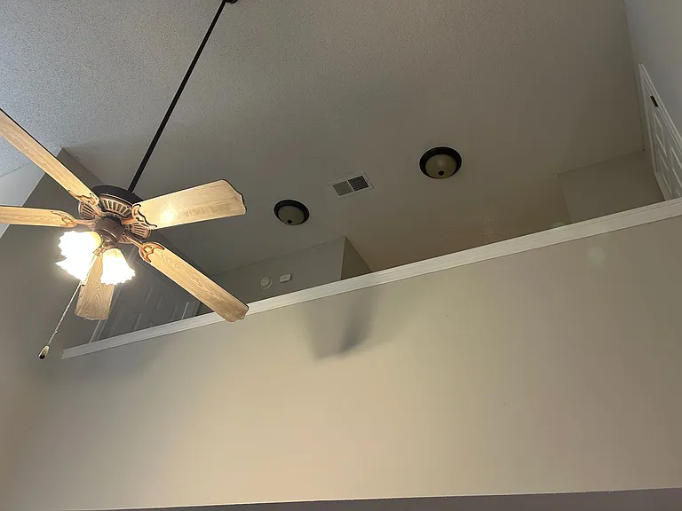 7311 Madelyn Cv — Photo 13