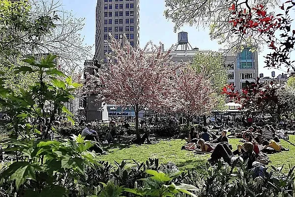 Rented by Douglas Elliman | media 17