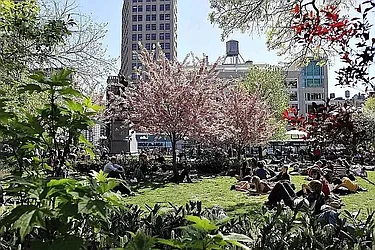 Rented by Douglas Elliman