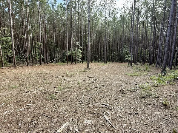 191 Seiber Ridge Rd Lot 131, Hohenwald, TN 38462