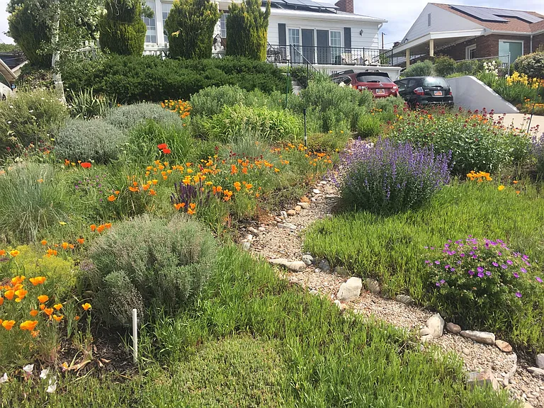 Front landscaping in the spring