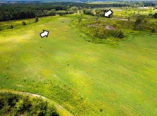 LOT 18 Chestnut Rd, Alma, GA 31510