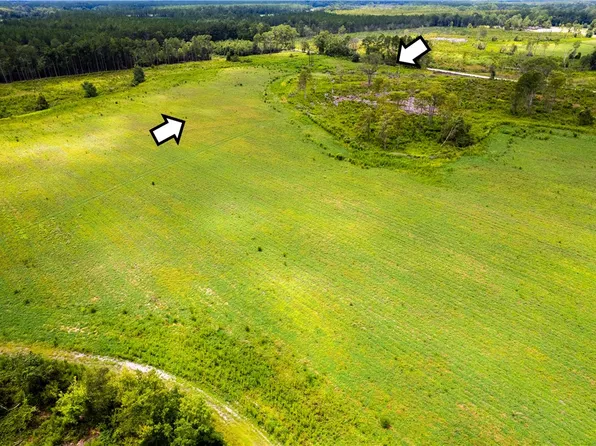 LOT 18 Chestnut Rd, Alma, GA 31510