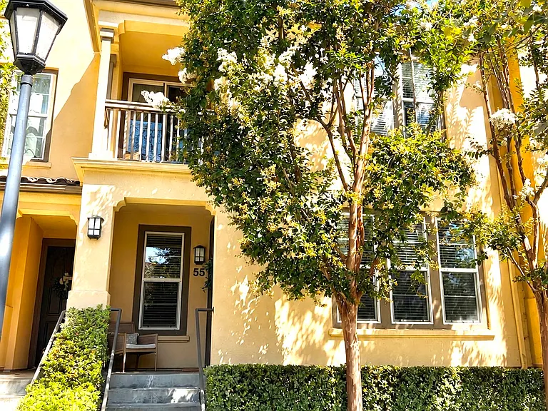 55 Sansovino — Photo 1
