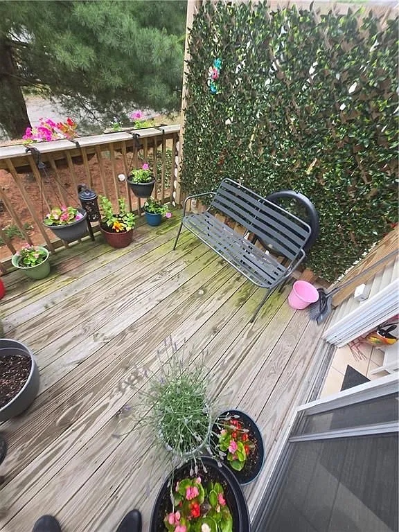 2 bed, 1.0 bath, 1025 sqft, $2,300 — Photo 3