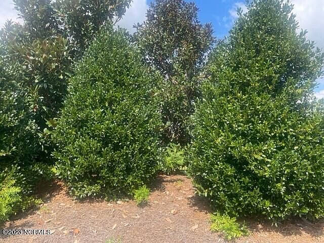 2nd image of 3006 Moss Hammock LOT 37