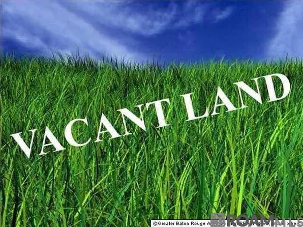 18228B Bill Morgan Rd, Prairieville, LA 70769