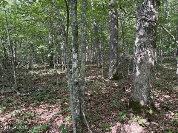 0 Laurel Way Lot 8, Monterey, TN 38574