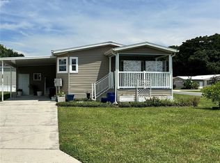 100 Crane Ct, Wildwood, FL 34785