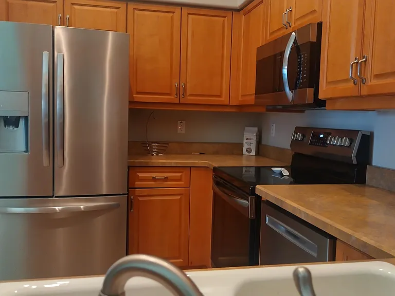 1643 Areca Palm Dr — Photo 4