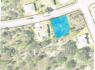 43 Vinca St, Homosassa, FL 34446