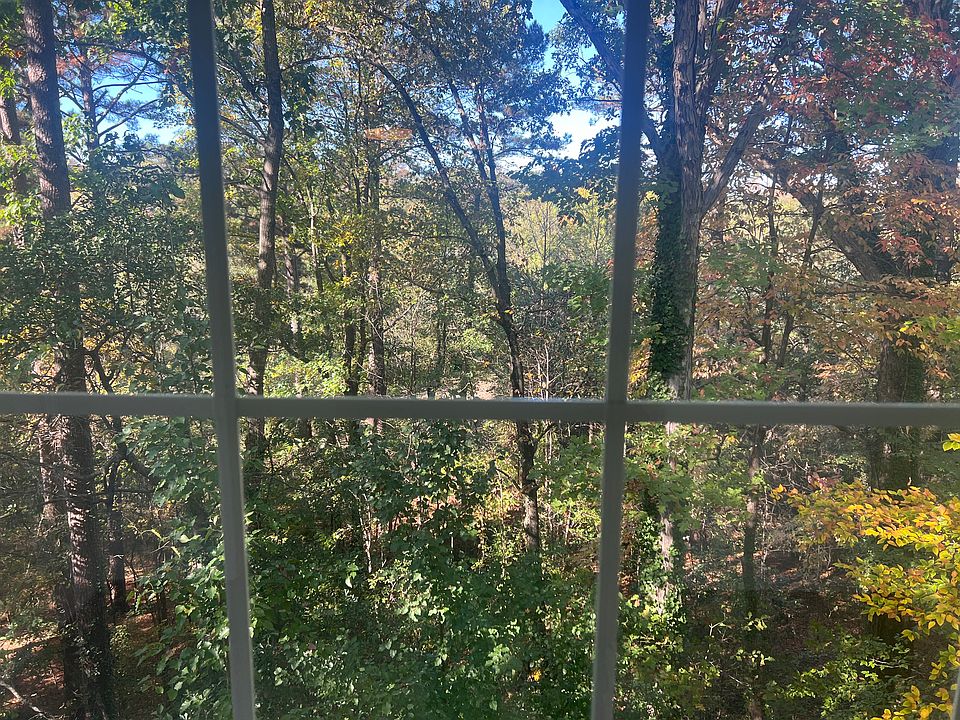 Beautiful forest of trees outside the sunroom.