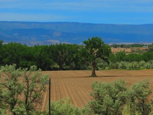 3337 Ash Mesa Rd, Delta, CO 81416