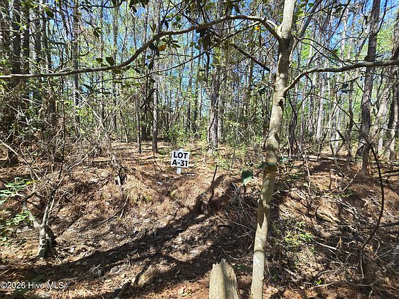 3rd image of LOT-31A Renee Dr