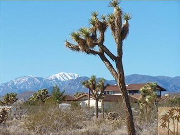 4th image of 5534 Yucca Mesa Dr