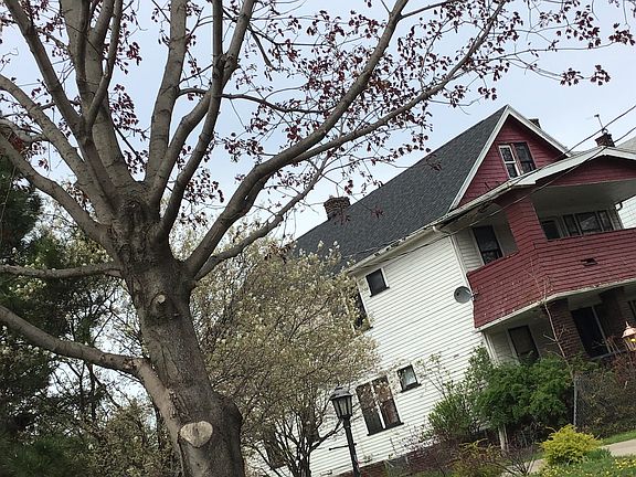 3rd image of 11613 Buckingham Ave