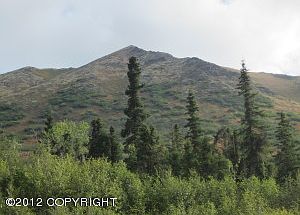 5th image of 4044 Elkhorn Dr