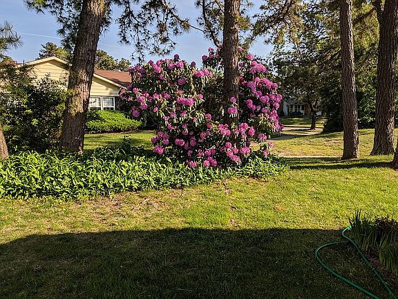  View from living room