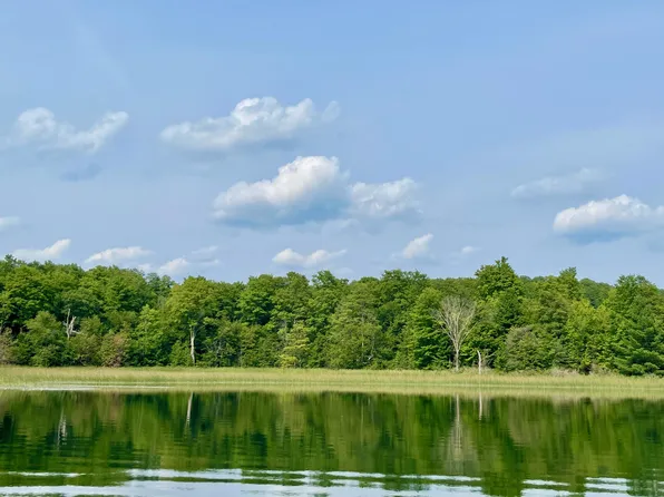 803 Guenther Rdg, Gaylord, MI 49735