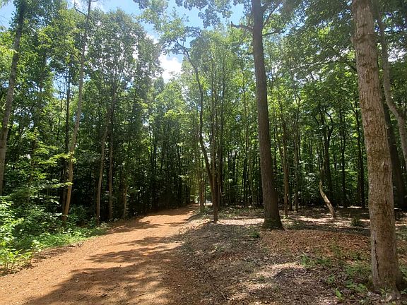5th image of Creek Dr