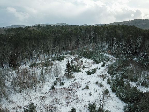 2nd image of 1735 South Rd