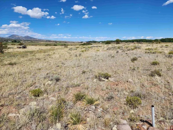 197 PINK CLOUD RD, South Fork, CO 81154