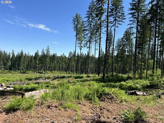 5th image of Tunnel Tract Parcel 2