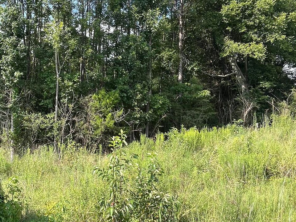 2nd image of Old Highway 9 N