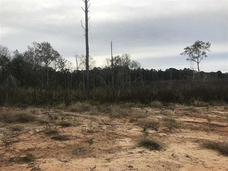 2nd image of 1 Morton Marathon Rd
