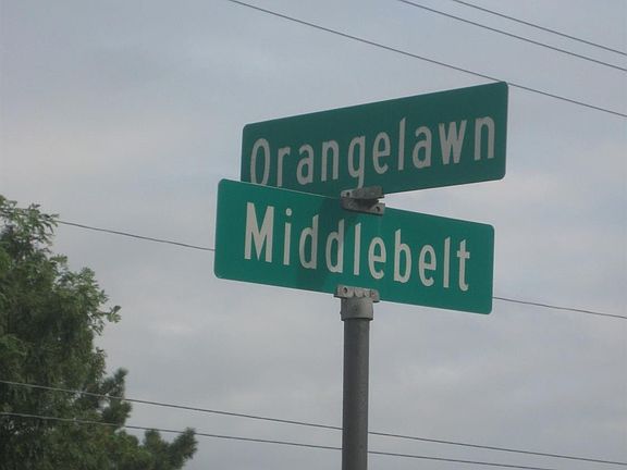 4th image of 29433 Orangelawn St #54