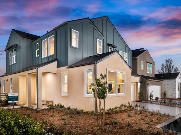 Sunflower Plan, Poppy