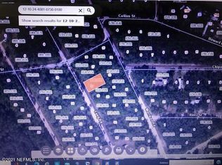 144 Long Rd, Interlachen, FL 32148