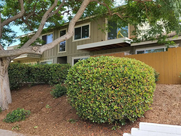 810 Regal Rd #I5 — Photo 10