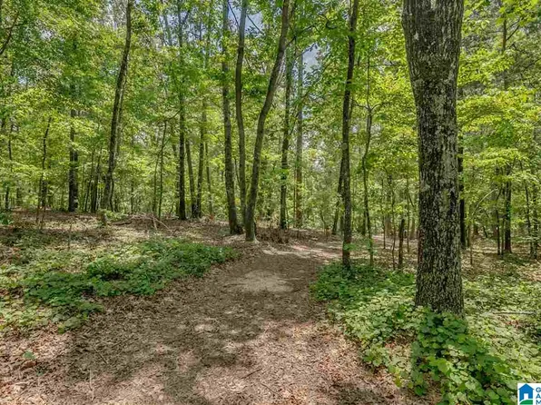 5 Augusta Way Lot 154, Shoal Creek, AL 35242