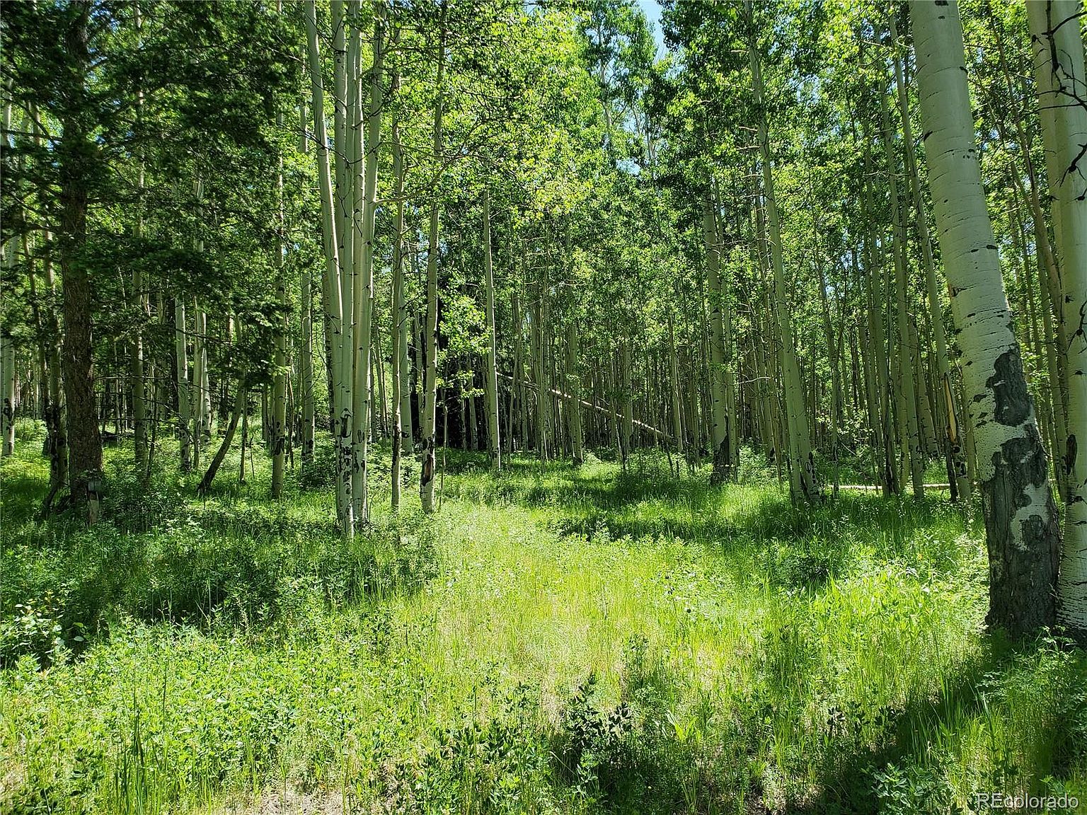 6403 Ryland Road Lot 6403, San Luis, CO 81152 Zillow