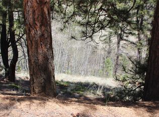 406 Brown St, Bailey, CO 80421