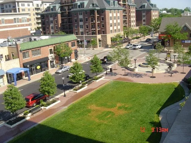 2 bed, 1300 sqft, $2,800 — Photo 3