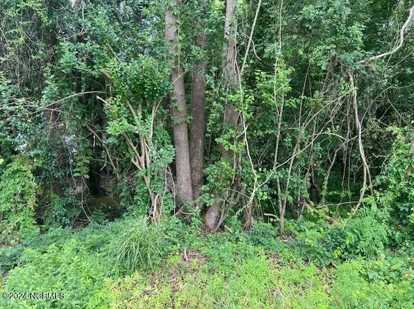 0 Near 2680 Pine Log R Road, Whiteville, NC 28472