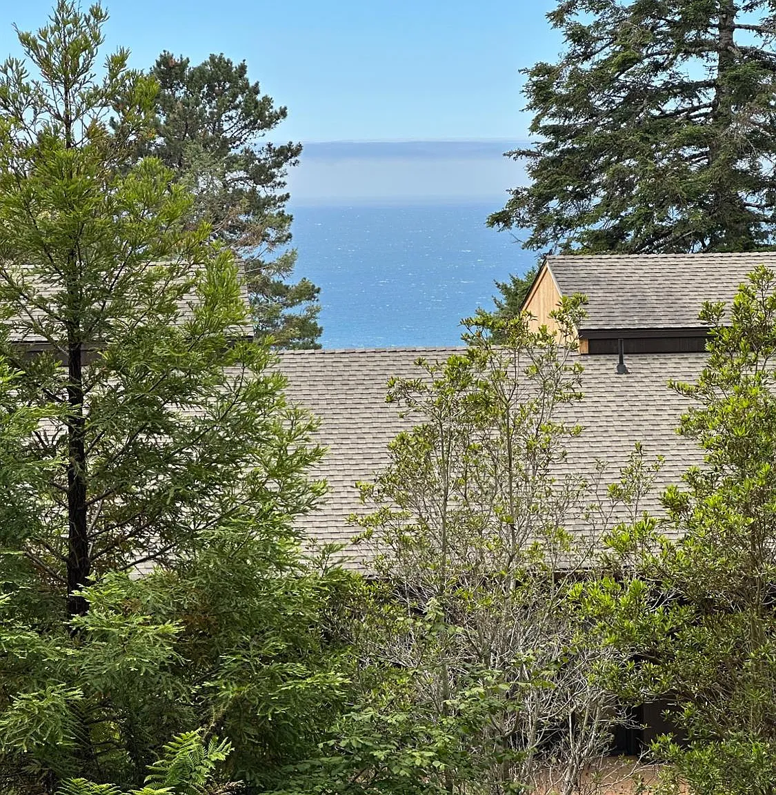 35261 Windsong Lane - Photo 2