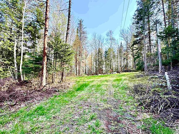 4th image of 40 Griffin Road