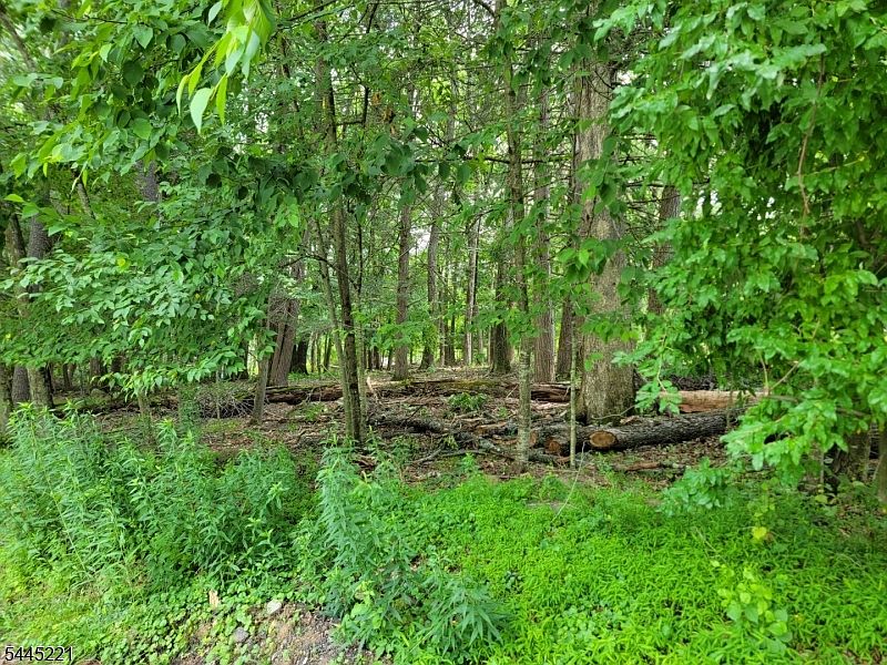 1st image of 231 Old Chimney Ridge Rd