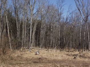 Puustinen Rd, Kaleva, MI 49645