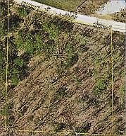2nd image of Nc 7120