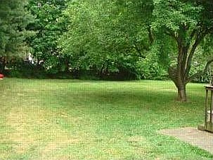 Large Backyard